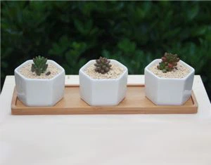 Μπαμπού δίσκος κεραμική γλάστρα